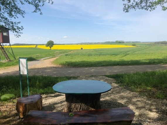 Runder Holztisch mit hölzernen SItzbänken im Schatten. Blick auf grüne und gelbe Felder bei blauem Himmel und strahlendem Sonnenschein.