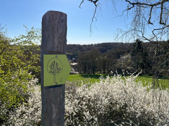 Wegeweiser an einem Holzpfosten. Im Hintergrund blühende Hecken.