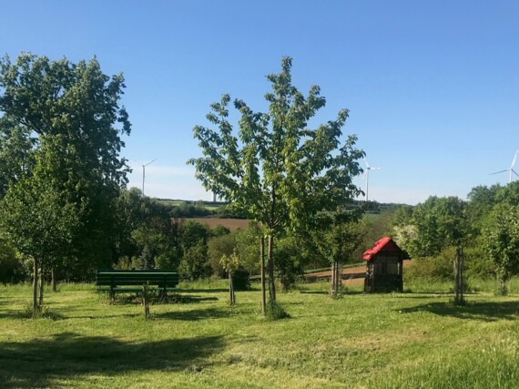 Obstwiese mit jungen Bäumen. Dazwischen eine grüne Sitzbank und ein Insektenhotel mit rotem Dach.